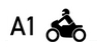 A1
